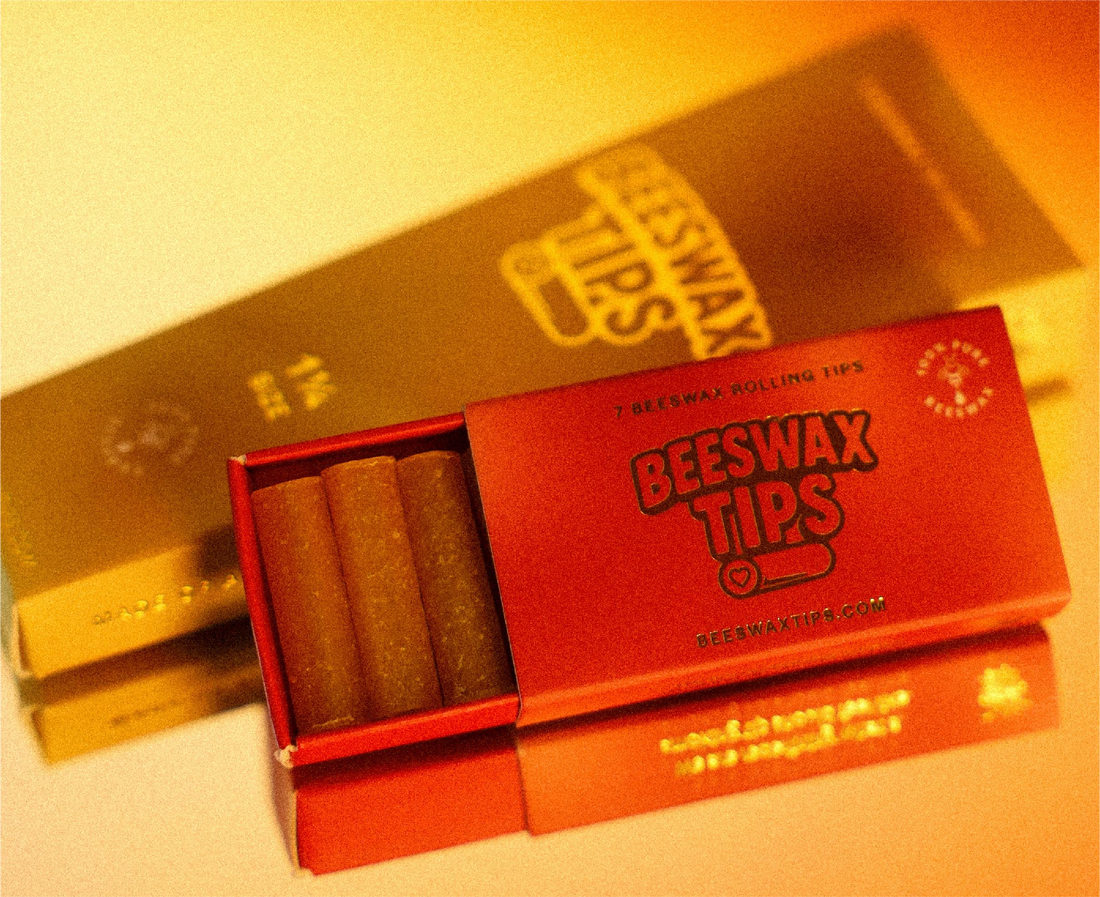Beeswax vs. Paper Filter Tips — Which Is Actually Better for the Environment?